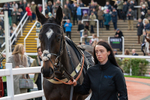161125-Race 1-Khafre-1136
