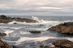 Coast Borders 6208