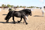 SBM_12923