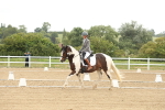 SBM_007132