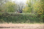 WJ6_7567