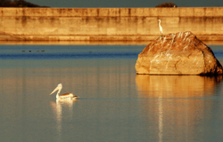 Deogarh Lake, Rajasthan