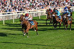240726-Race 4-Rajaking-0419