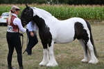 WJ6_5480
