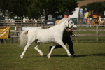 SBM_10378