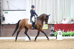 SBM_010013
