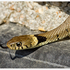 Grass snake