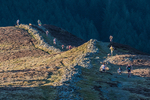 Grisedale-12