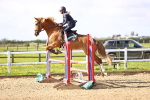 SBM_002987