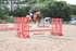 BPP_3778