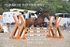 BPP_7628