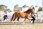 SBM_08439