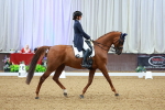SBM_007206