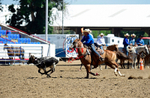 3HRodeo8-11-25_PRCASteer_02213_