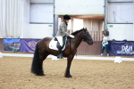 SBM_002335