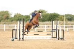 SBM_023556