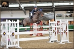 EQUISCOT 8444 GRAHAM BABES - DOLLAR GIRL