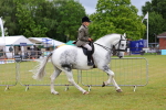 SBM_02498