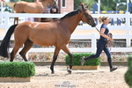 240717A-145046-02343