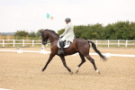 SBM_006324