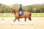 SBM_007440