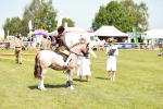 SBM_13509