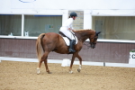 SBM_001711