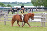 SBM_08507