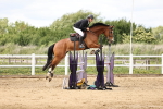 SBM_003426