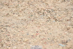 231013A-103856-01355