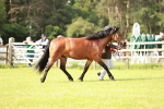 SBM_00587
