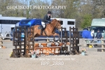 BPP_2880