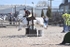 BPP_1073