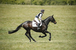 BVHT 140517  IXC -828