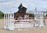 27TH MAY 2025 - TUES Senior British Show Jumping Cat 2 - MUIRMILL EC portfolio
