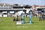 BPP_9032