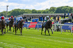140526-Race 1-Persian Spring-4349