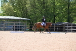 WJ6_9917