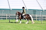 SBM_11405