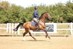 SBM_000561