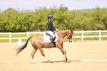SBM_008462