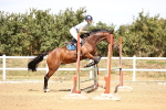 SBM_000979