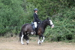 WJ7_7630