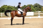 SBM_004822