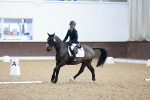 SBM_000943