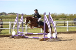 SBM_000919
