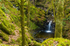 Ormidale Estate, Argyll - 3994