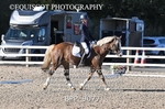 BPP_9077