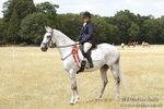 Working Hunter Championship BVRC Show 2018 portfolio