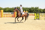 SBM_000379